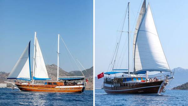 Gokce - Image 7