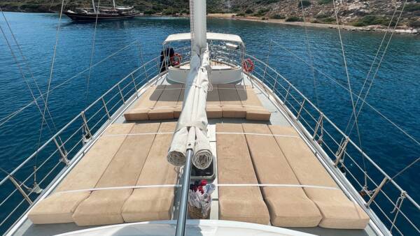 Lavinia - Image 9