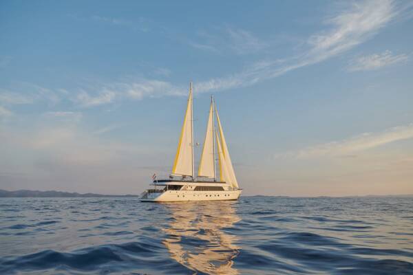 Anima Maris - Image 15