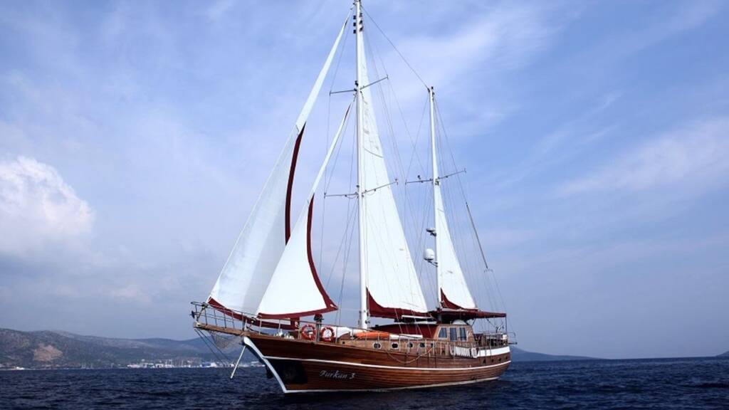 Doris-1