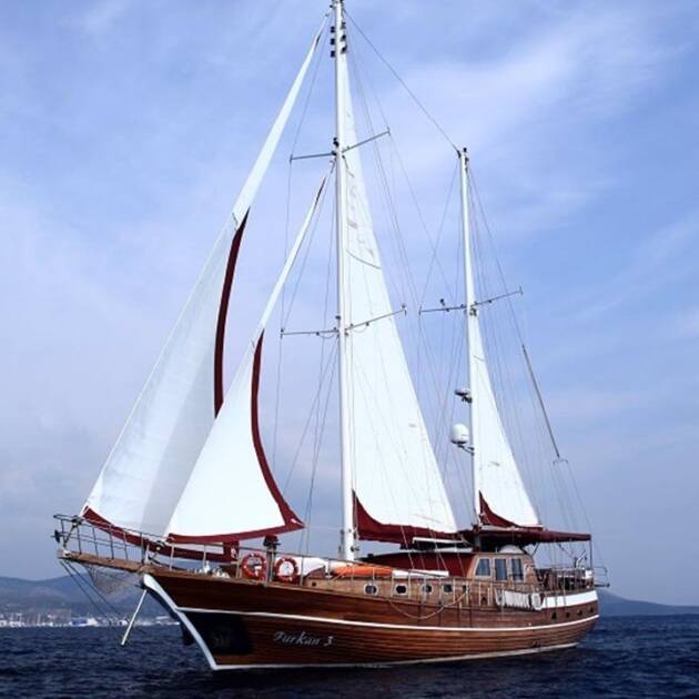 Doris-1