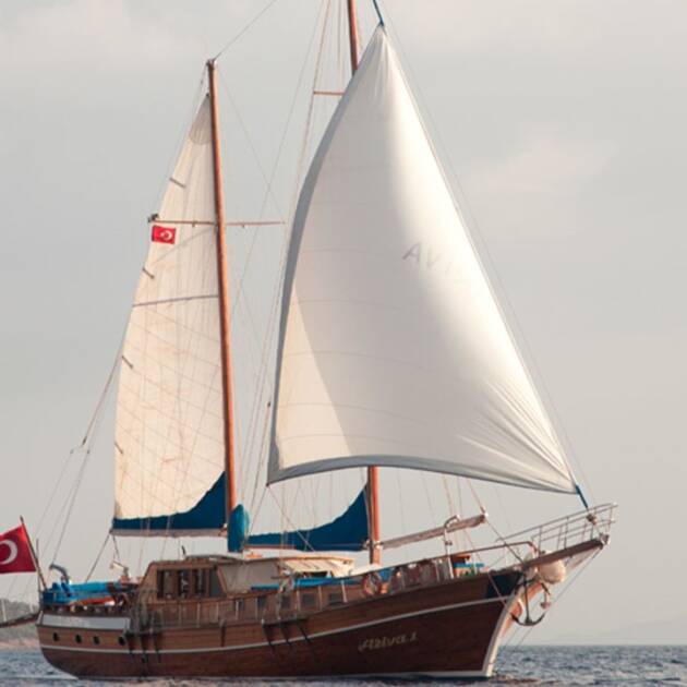 Ariva 1