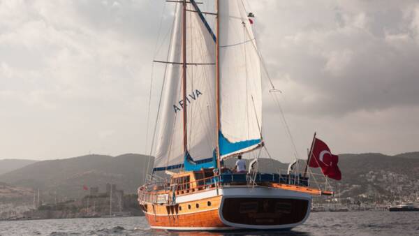 Ariva 1 - Image 6