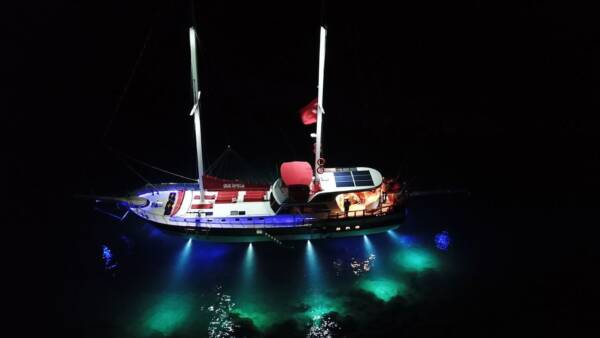 Blu Dream - Image 13