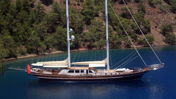 Kaya Guneri 5 - Image 13