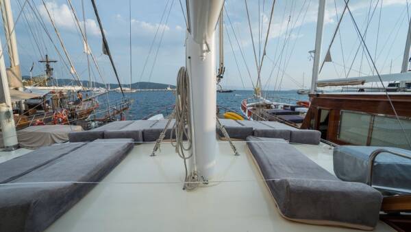Optimist - Image 3