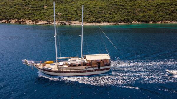 Optimist - Image 13