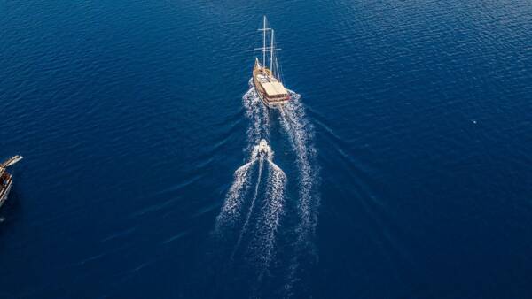 Optimist - Image 18