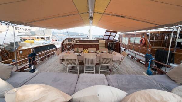 Optimist - Image 22