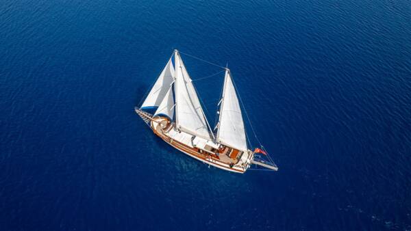Jasmin 1 - Image 14