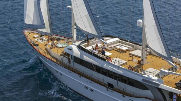 Navilux - Image 6