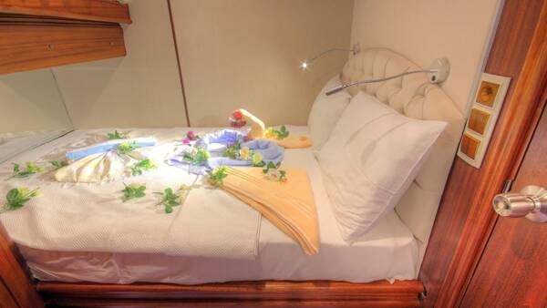 Romance - Image 11