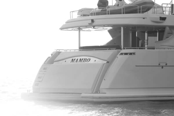 Mambo - Image 2