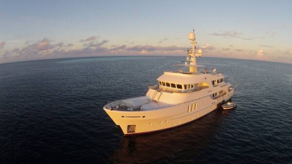 Beluga - Image 8